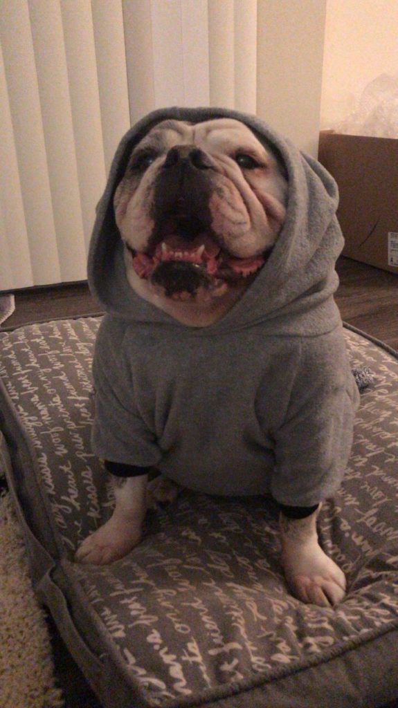 Photo 1 of Winston