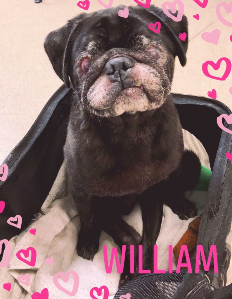 Photo 1 of William