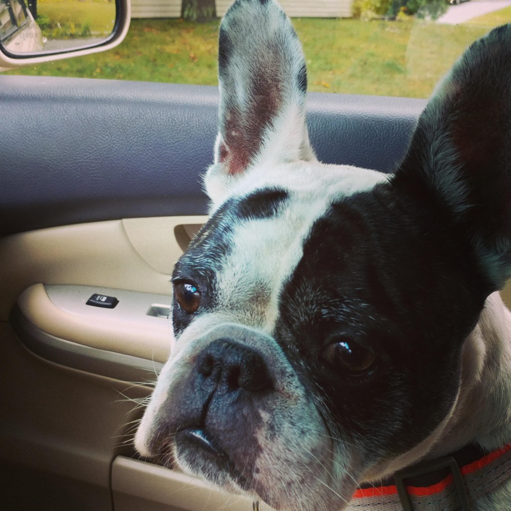 Photo 1 of Winston