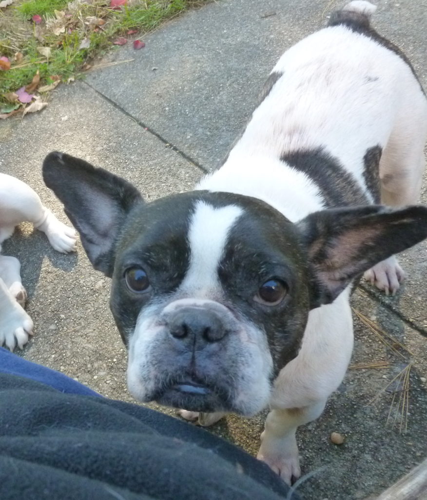 Photo 1 of Dulce