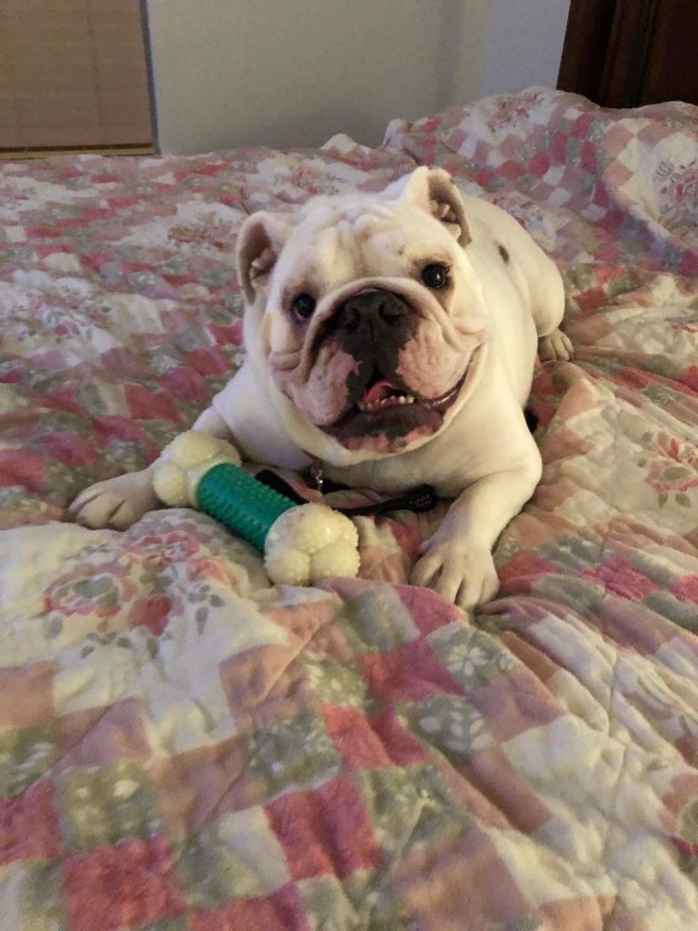 Photo 1 of Waylon