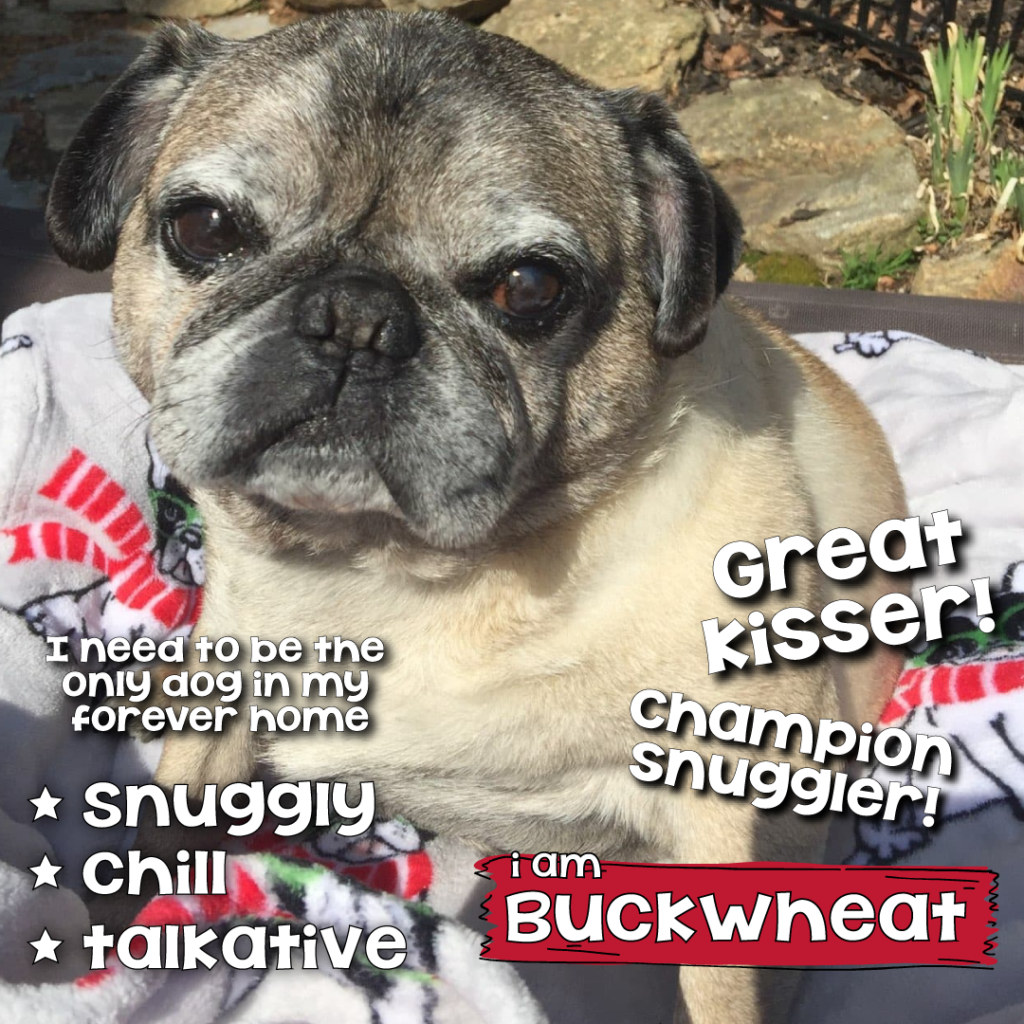Photo 1 of Buckwheat