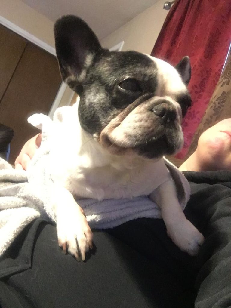Photo 1 of Betty