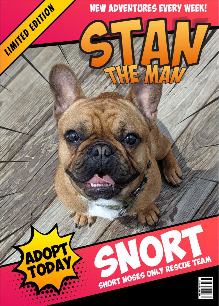 Photo 1 of Stanley