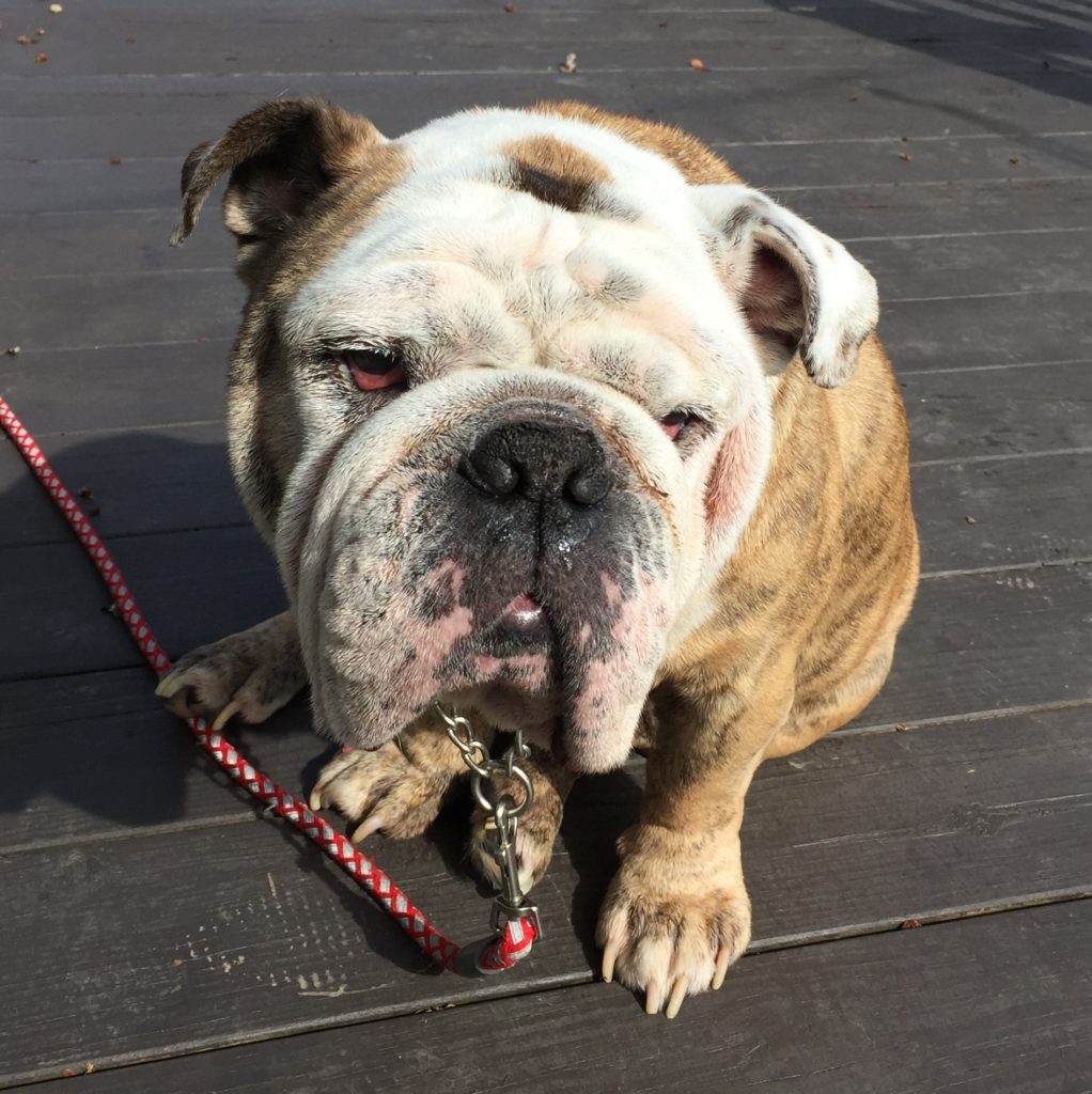 Photo 1 of Herschel