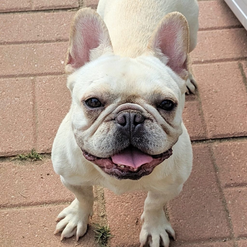 Photo 1 of Bitty