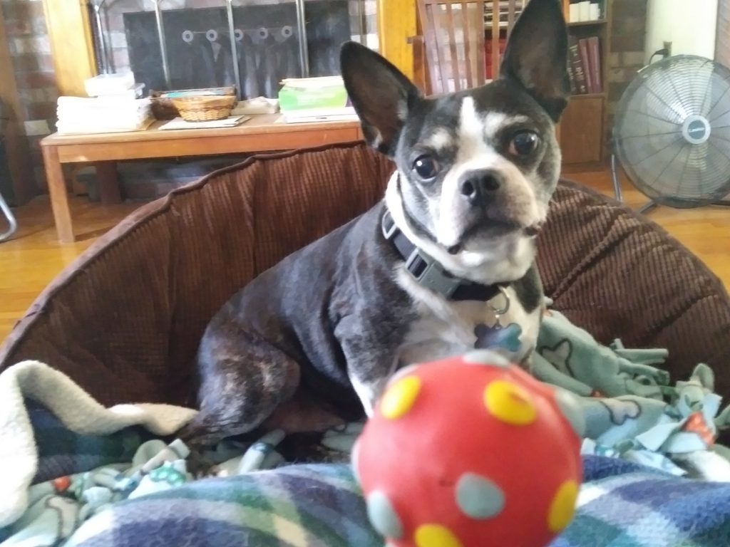 Photo 1 of Honey