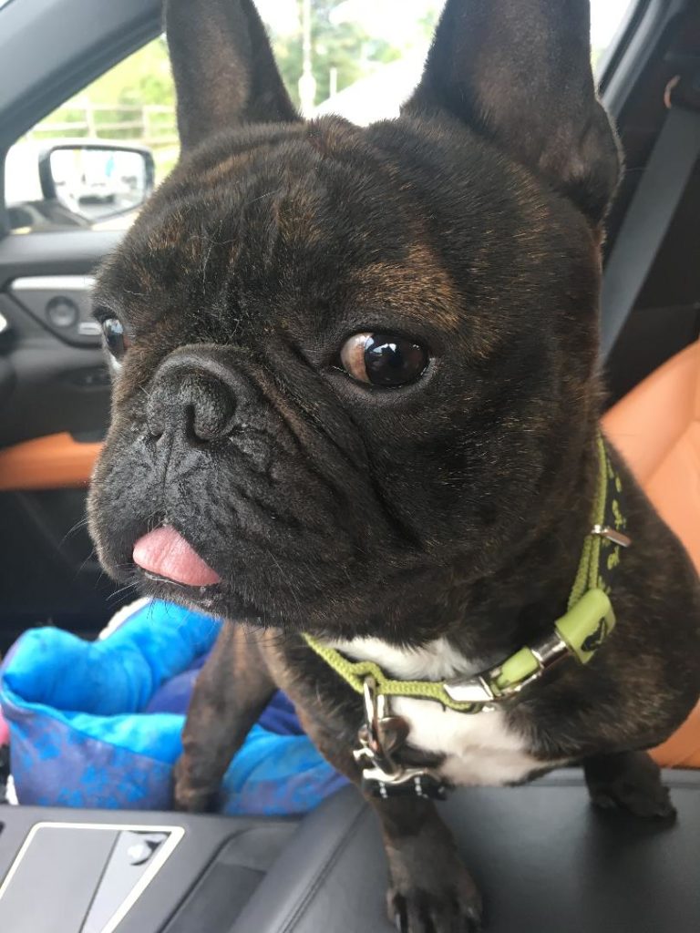 Photo 1 of Franklin
