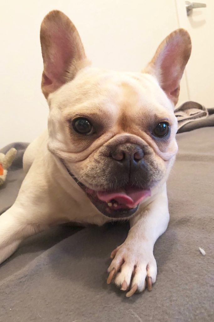 Photo 1 of Maggie
