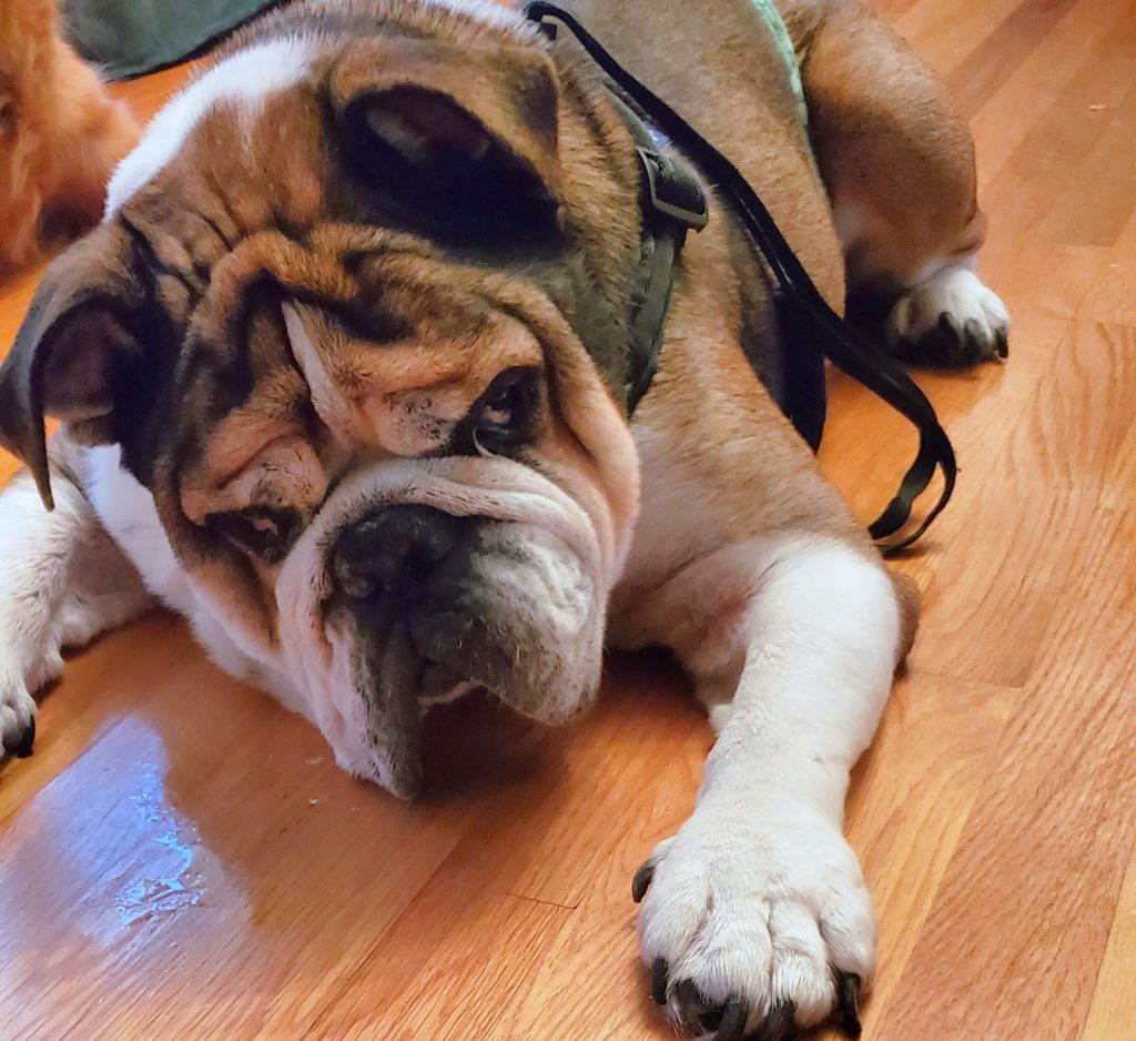 Photo 1 of Huxley