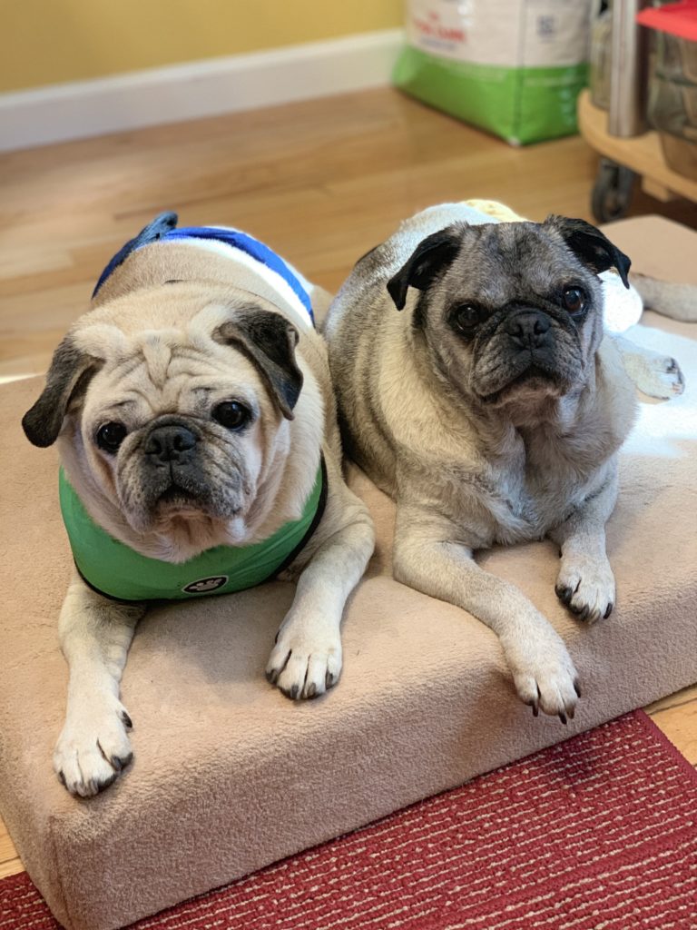 Photo 1 of Bob & Butch