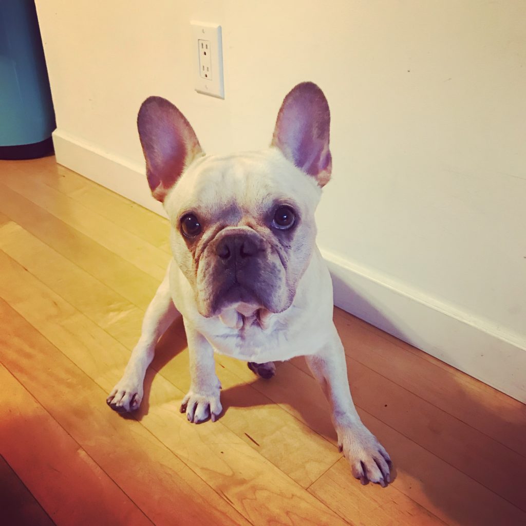 Photo 1 of Baxter