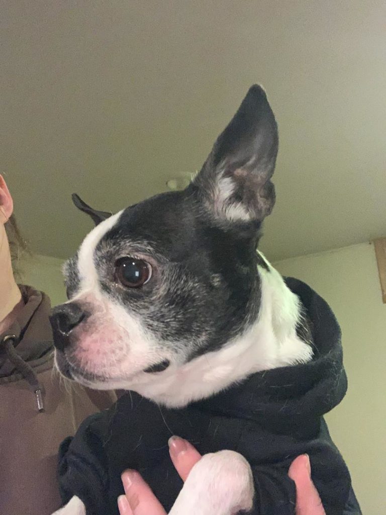 Photo 1 of Zoe
