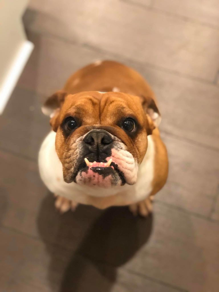Photo 1 of Remy