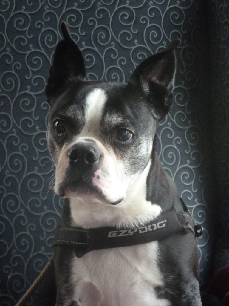 Photo 1 of Cash