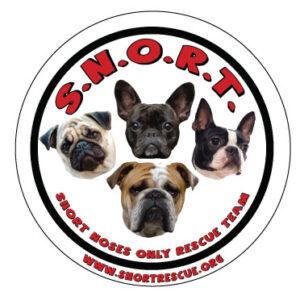 SNORT Magnet