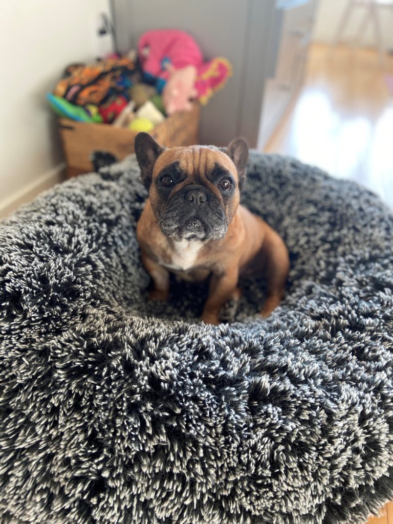 Photo 1 of Ruby