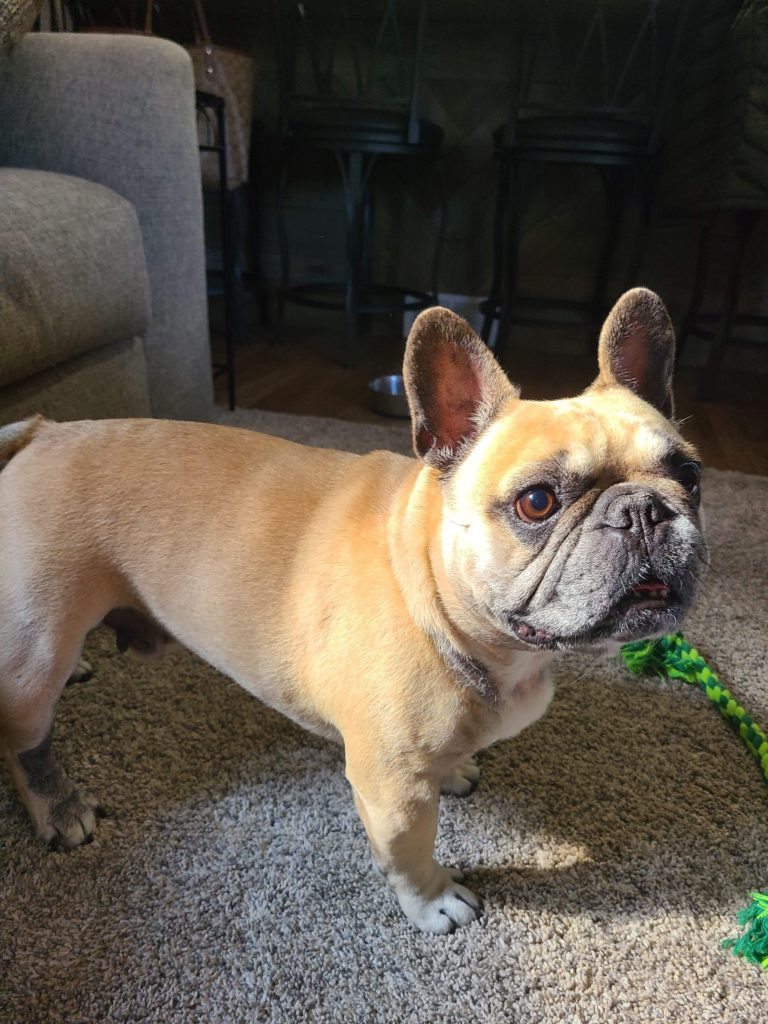 Photo 1 of Nacho