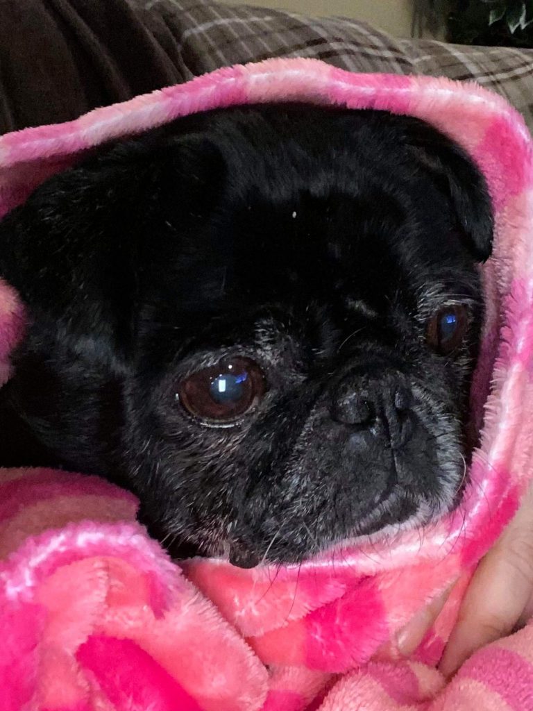 Photo 1 of Darcy