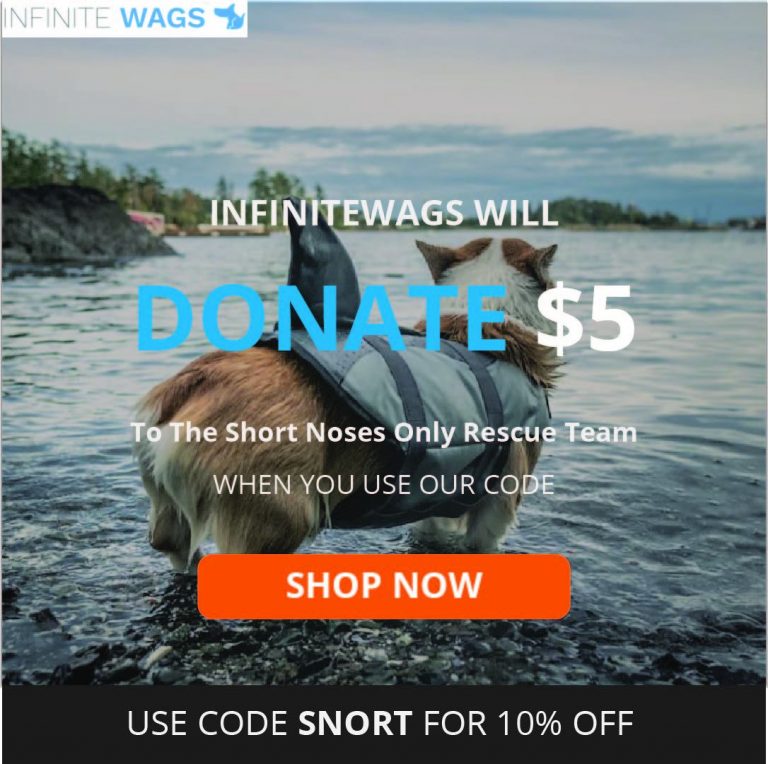 Infinite Wags logo
