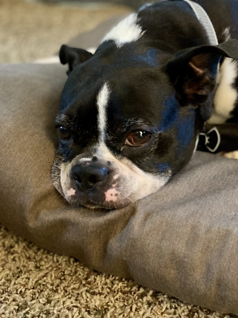 Photo 1 of Apollo