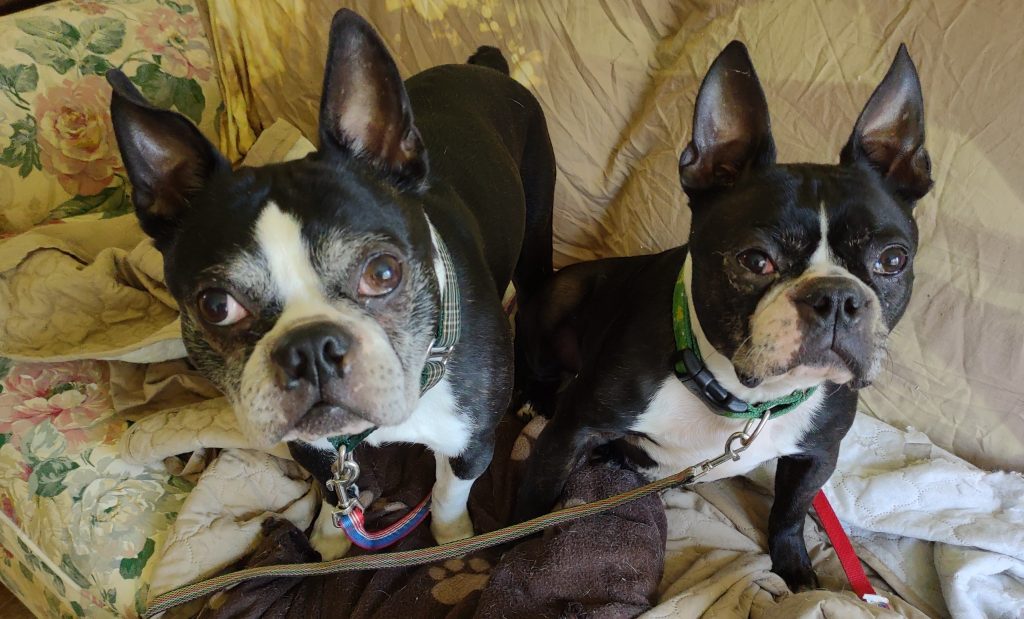 Photo 1 of Riley & Cooper