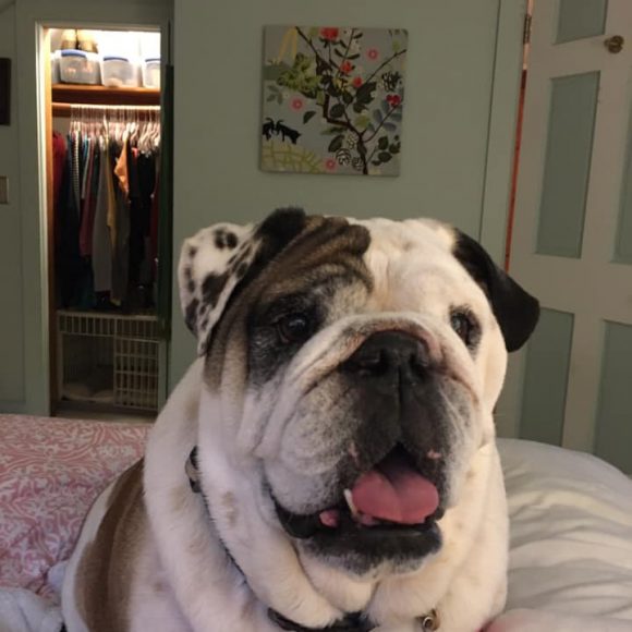 Roxie