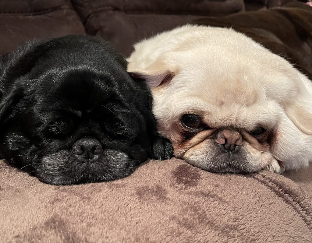 Photo 1 of Cooper & Claire