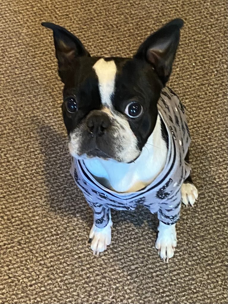 Photo 1 of Domino