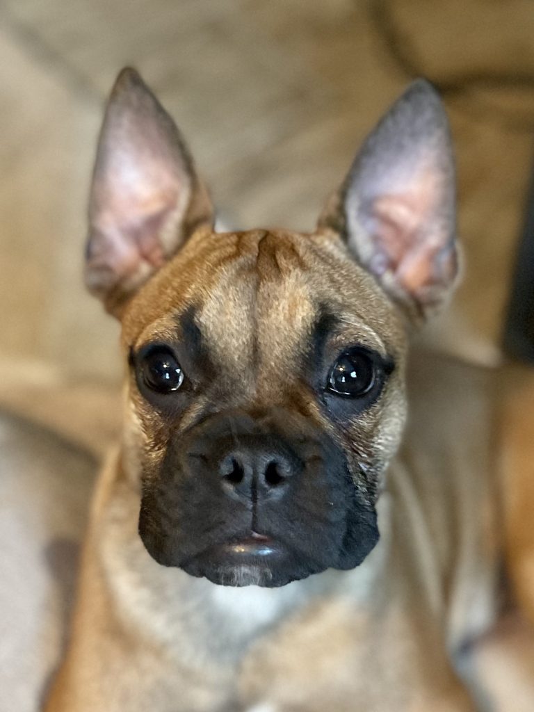 Photo 1 of Khloe