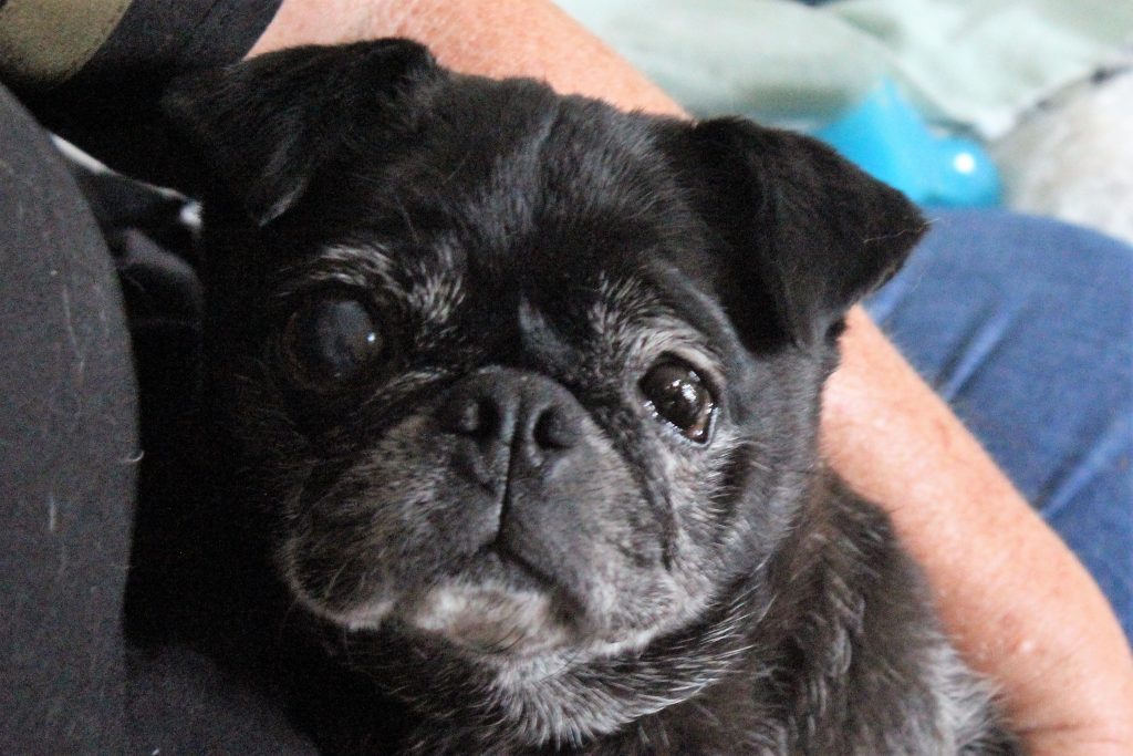 Photo 1 of Roxanne