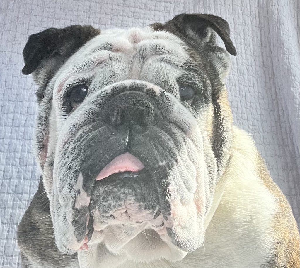 Photo 1 of MayBelle