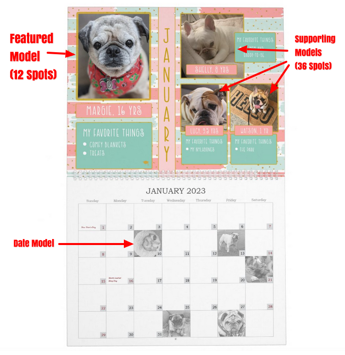 SNORT Calendar Contest – SNORT Rescue