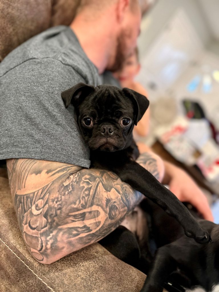 Photo 1 of Fred