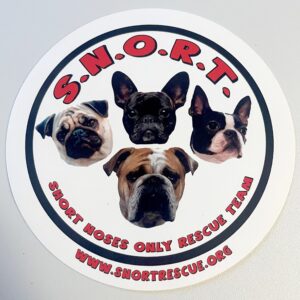 SNORT Logo Sticker