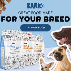 Bark Food