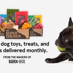 BarkBox Super Chewer