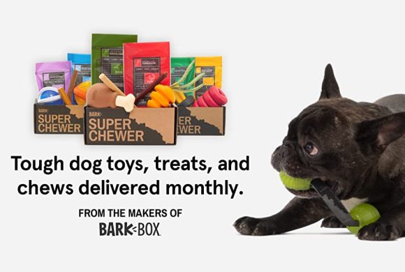 BarkBox Super Chewer