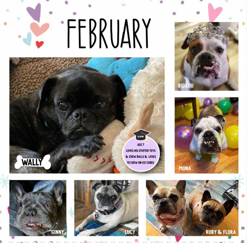 SNORT 2024 Calendar SNORT Rescue