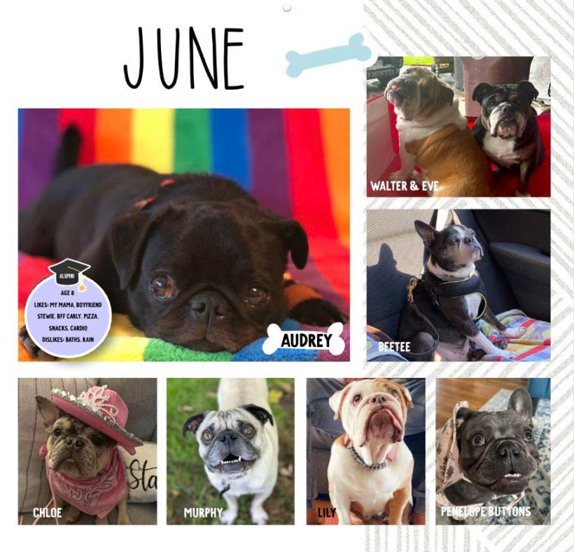 SNORT 2024 Calendar SNORT Rescue