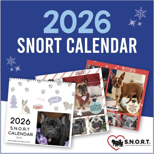 2026 SNORT Calendar