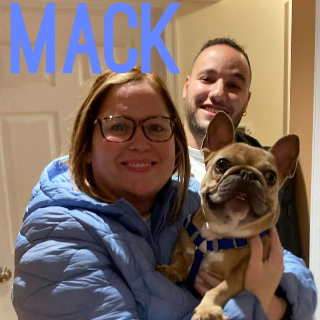 Mack, adopted through SNORT Rescue