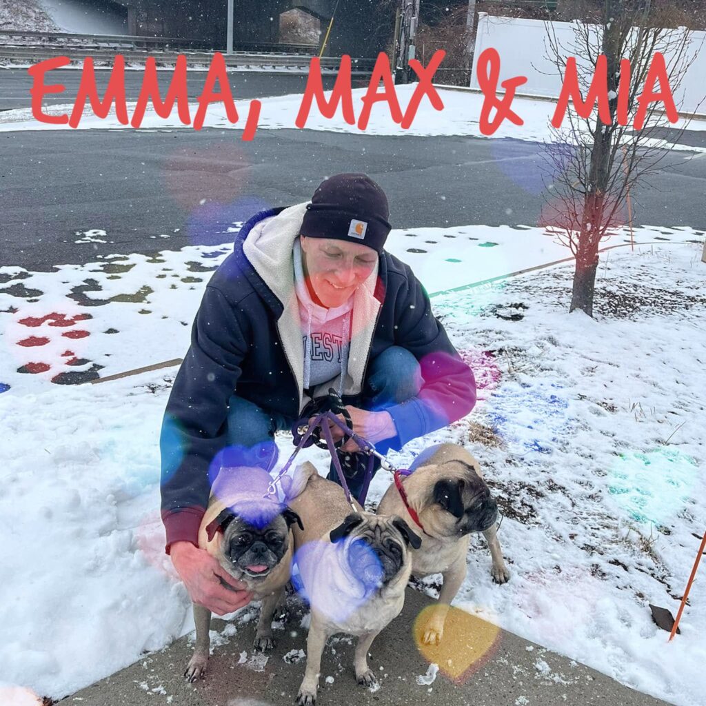 Emma, Max & Mia, adopted through SNORT Rescue