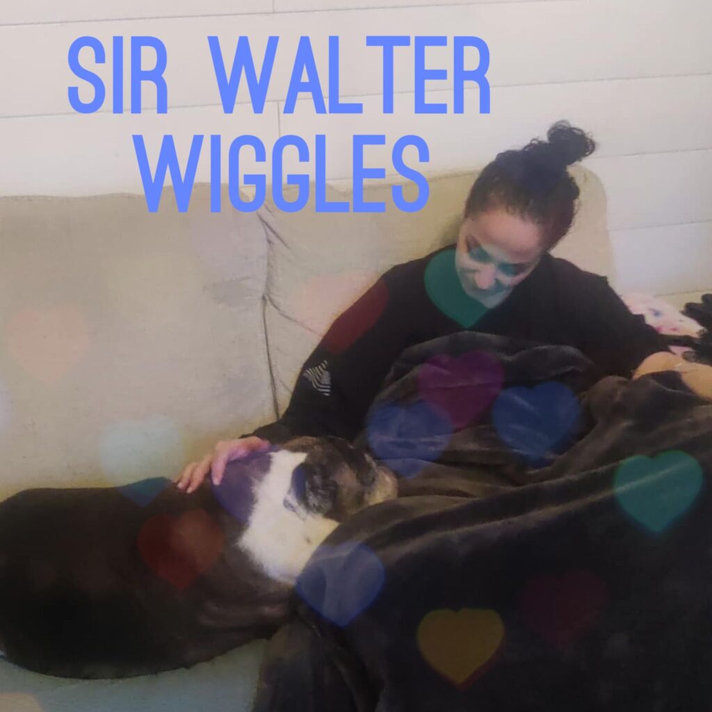 Sir Walter Wiggles, adopted through SNORT Rescue