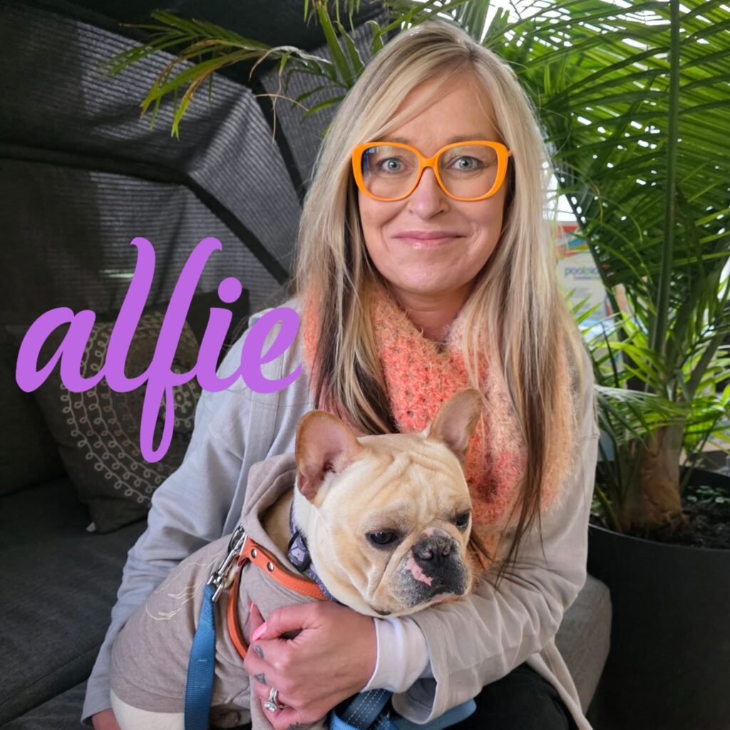 Alfie, adopted through SNORT Rescue