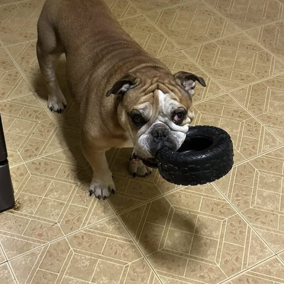 A Delicious Hashbrown