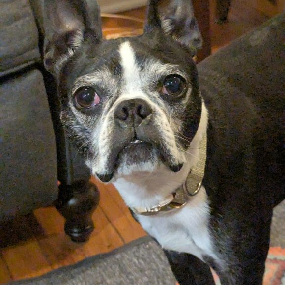 Benny