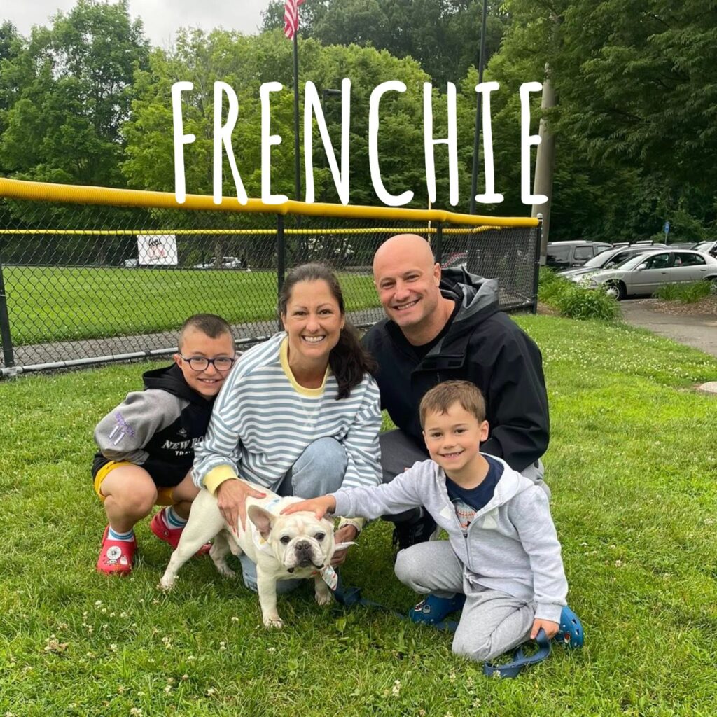 Frenchie, adopted through SNORT Rescue