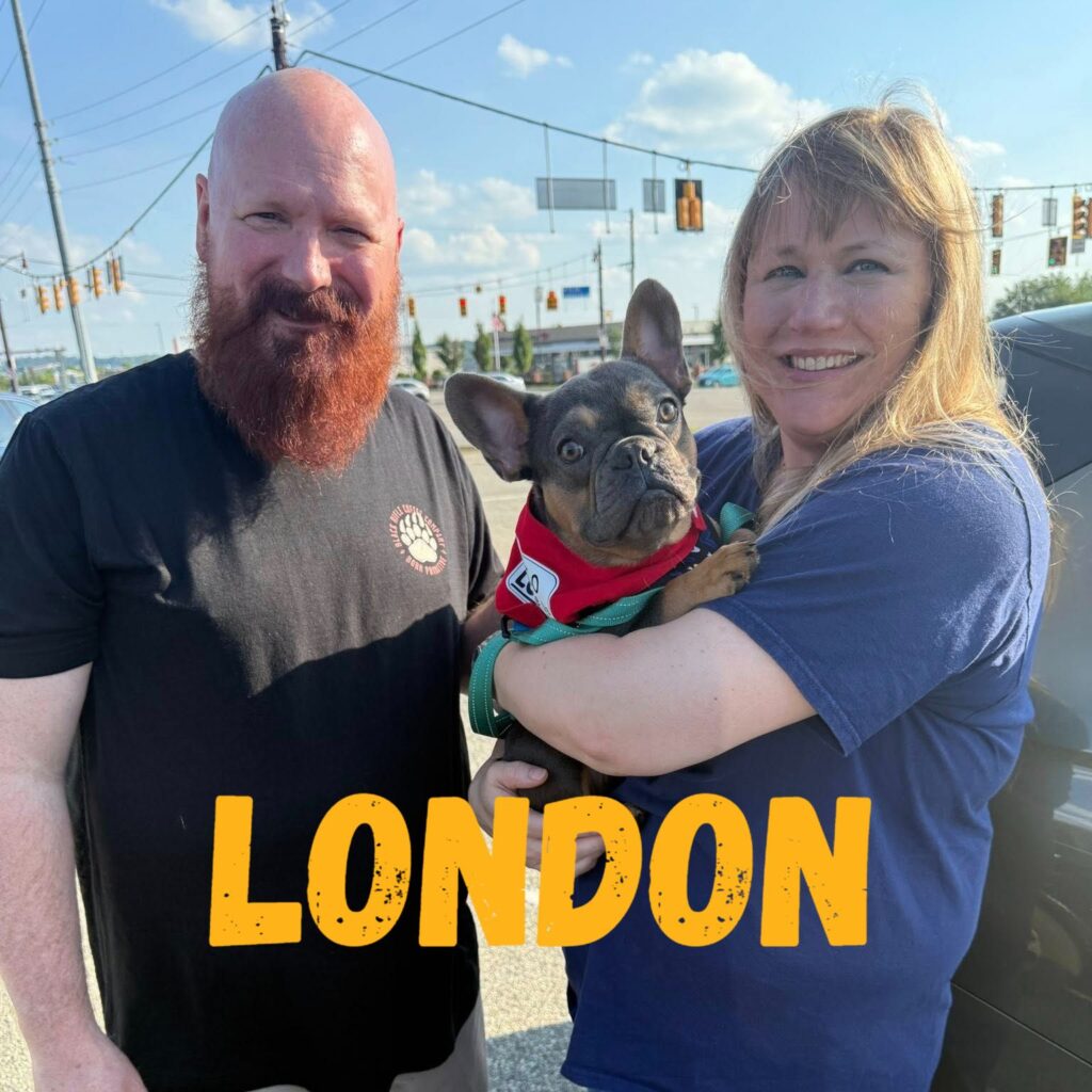 London, adopted through SNORT Rescue