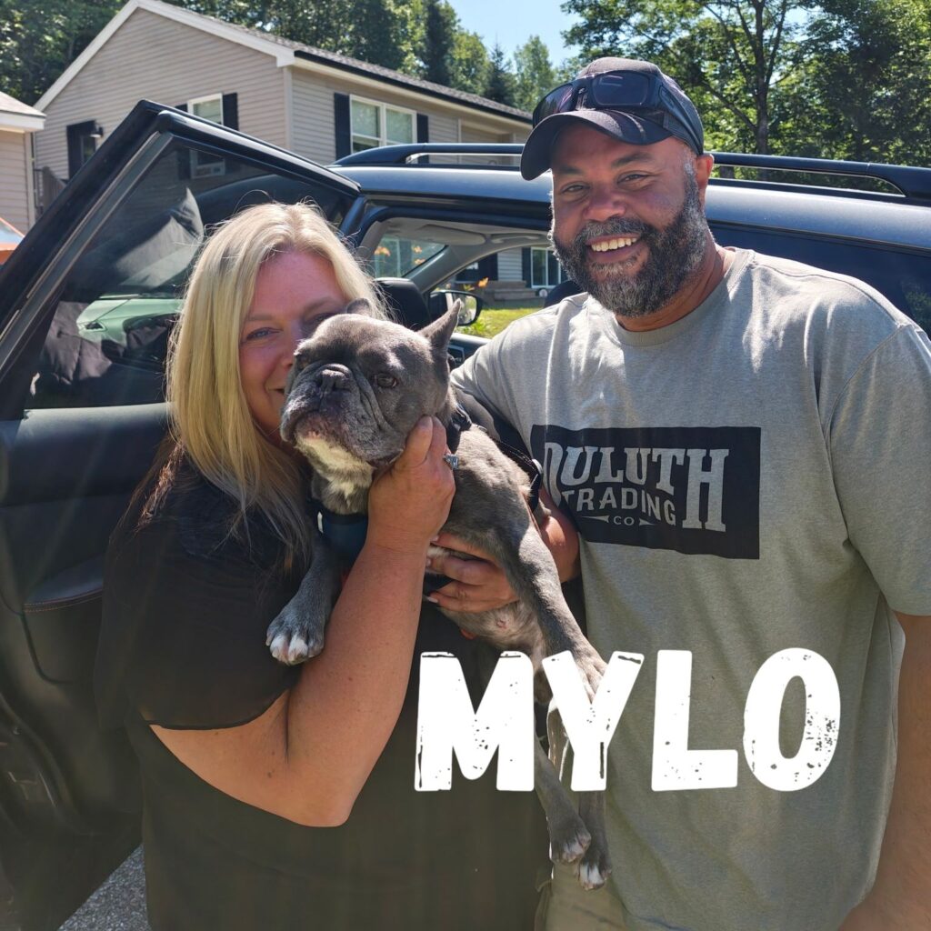 Mylo, adopted through SNORT Rescue